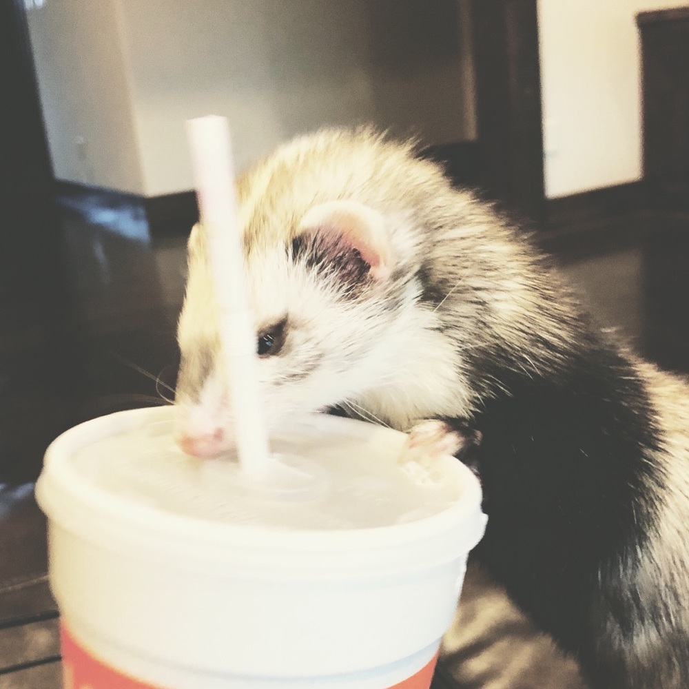 Meet your Posher, Sherry